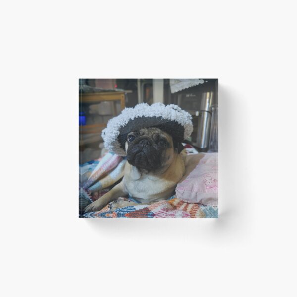 Item preview, Pug in a hat designed and sold by LivingwithPasta.