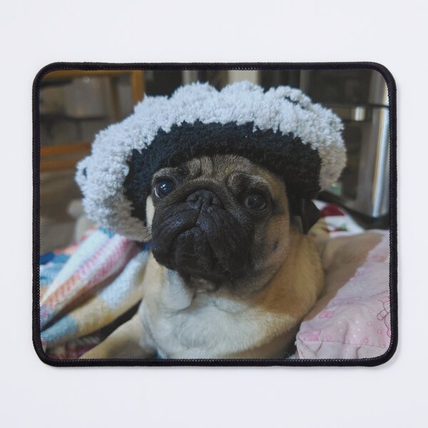 Item preview, Pug in a hat designed and sold by LivingwithPasta.