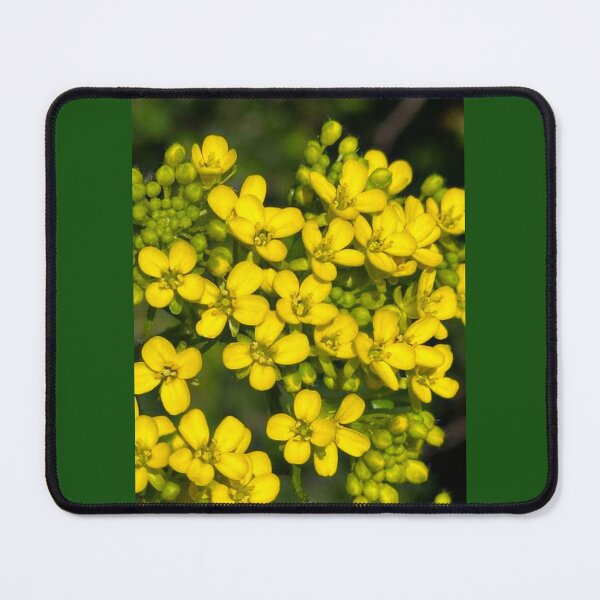 Item preview, Yellow Rapeseed Bloom designed and sold by StrawberryCapy.