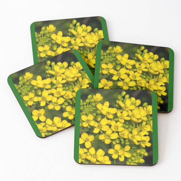 Item preview, Yellow Rapeseed Bloom designed and sold by StrawberryCapy.
