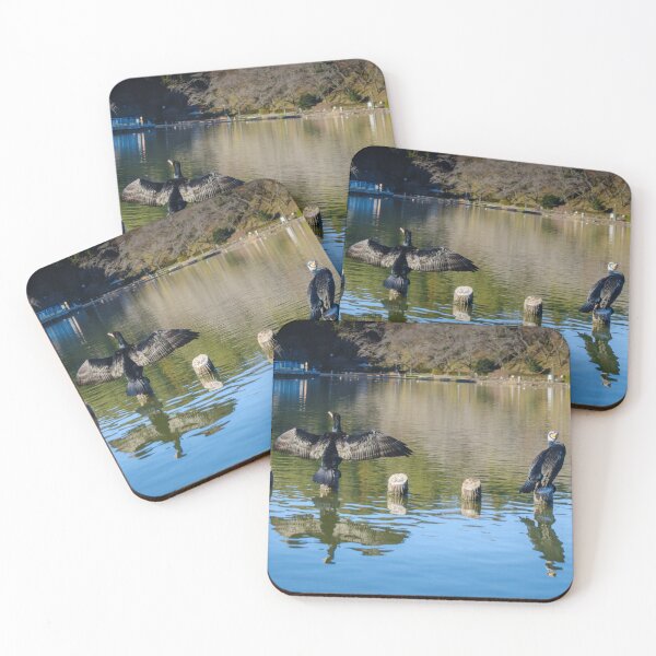 Item preview, Great Cormorants Drying Wings at Rengeji-ike Park, Japan designed and sold by Pix4Japan.