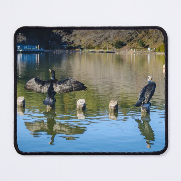 Item preview, Great Cormorants Drying Wings at Rengeji-ike Park, Japan designed and sold by Pix4Japan.