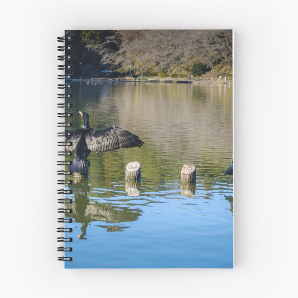 Item preview, Great Cormorants Drying Wings at Rengeji-ike Park, Japan designed and sold by Pix4Japan.