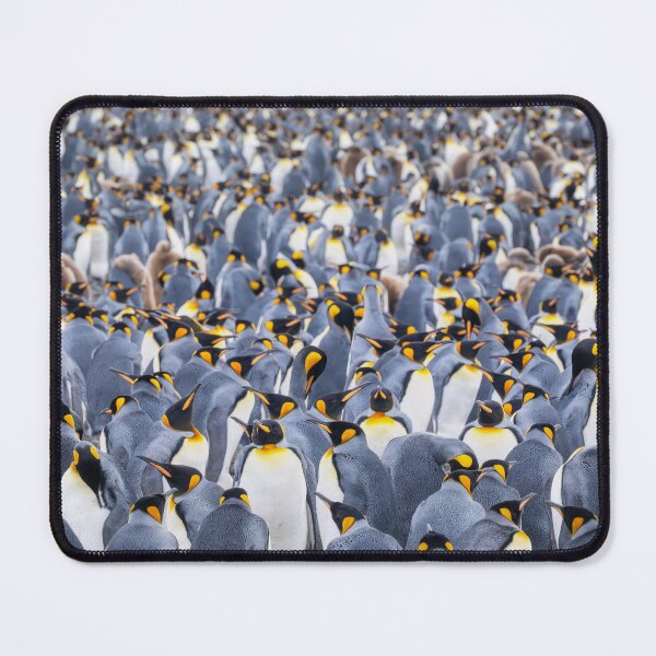 Item preview, Vast Colony of King Penguins South Georgia Islandast Colony of King Penguins South Georgia Island designed and sold by PhotoArt by Joan Carroll.