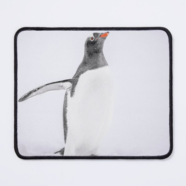 Item preview, Gentoo Penguin in Snowy Antarctica designed and sold by PhotoArt by Joan Carroll.