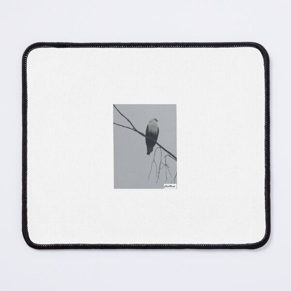 Item preview, ChevMovit Australian Sea Eagle designed and sold by ChevMovit.
