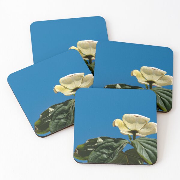Item preview, Dogwood blossom against cloudless sky designed and sold by lisavonbiela.