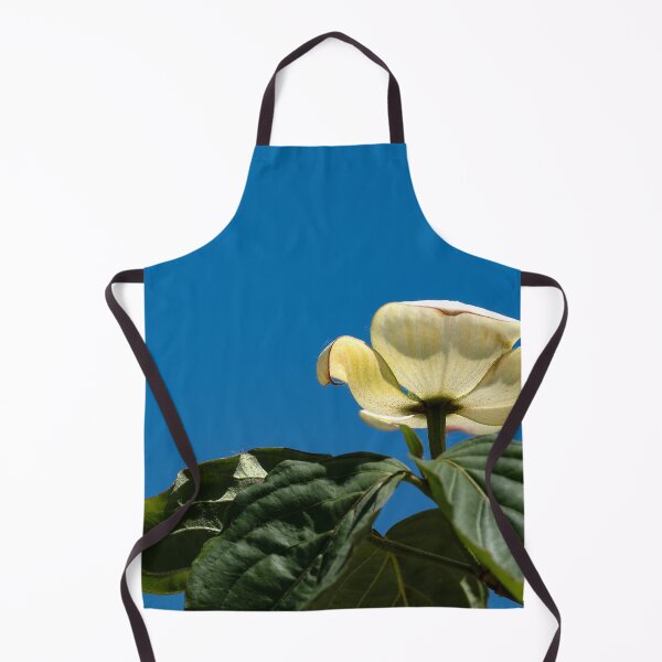 Item preview, Dogwood blossom against cloudless sky designed and sold by lisavonbiela.