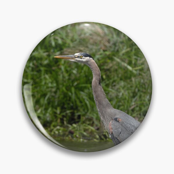 Item preview, Great Blue Heron standing in the lake side view designed and sold by lisavonbiela.