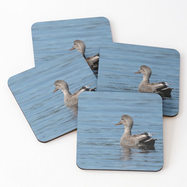 Item preview, Male Gadwall Duck swimming toward the sunlight designed and sold by lisavonbiela.