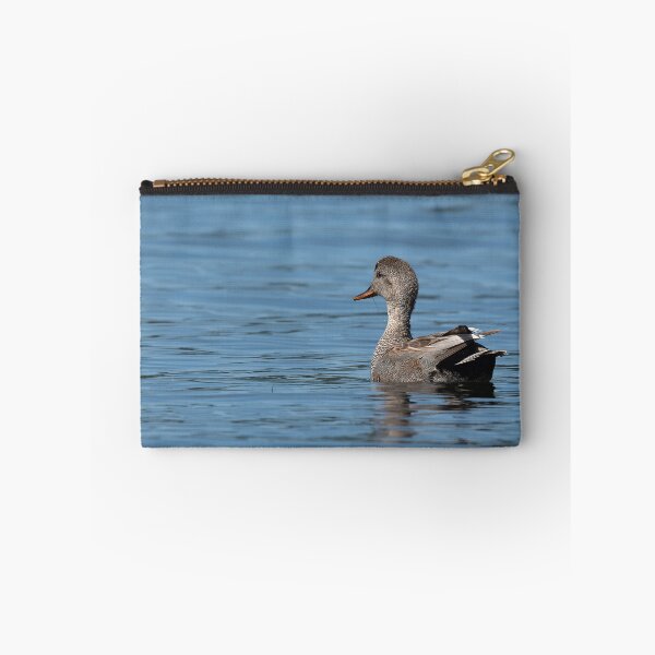 Item preview, Male Gadwall Duck swimming toward the sunlight designed and sold by lisavonbiela.