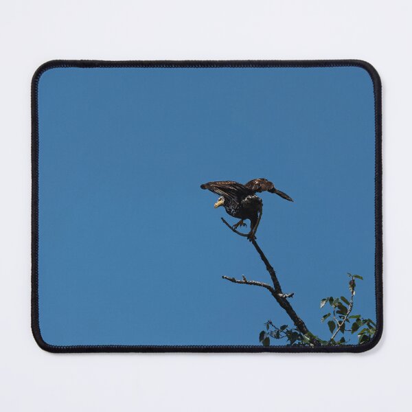Item preview, Three-year-old juvenile bald eagle taking off from tree designed and sold by lisavonbiela.