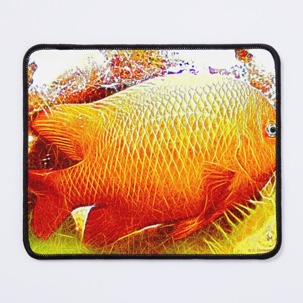 Item preview, Orange Damselfish, Orange Honey Damsel, Tropical Reef Fish designed and sold by AMacGPhilly.