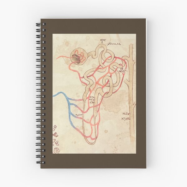 Item preview, The Nephron designed and sold by Spilled--Ink.