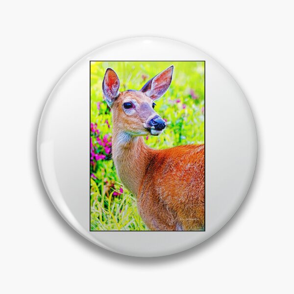 Item preview, Whitetailed Deer, Doe, in a Flowery Field, Digital Illustration designed and sold by AMacGPhilly.