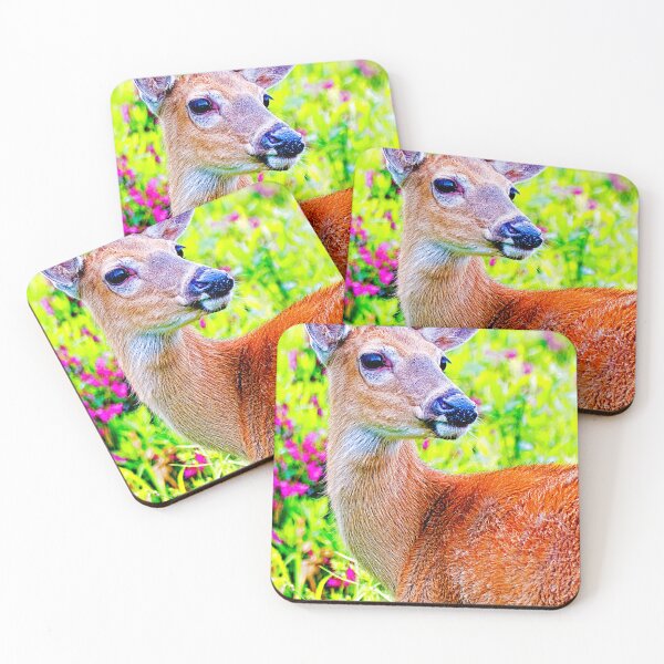 Item preview, Whitetailed Deer, Doe, in a Flowery Field, Digital Illustration designed and sold by AMacGPhilly.