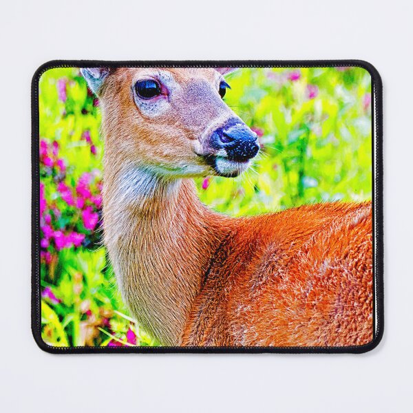 Item preview, Whitetailed Deer, Doe, in a Flowery Field, Digital Illustration designed and sold by AMacGPhilly.