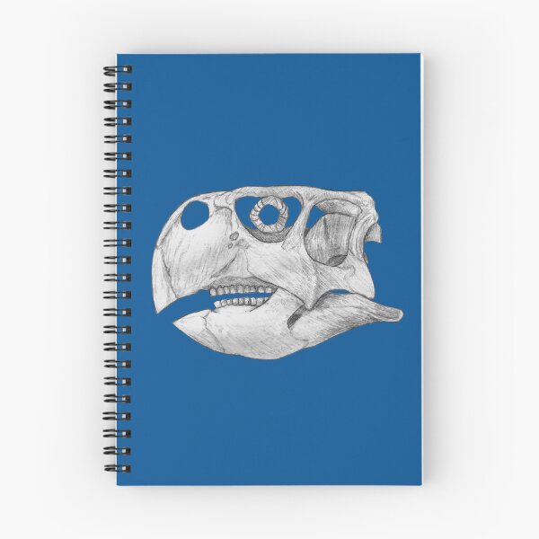 Item preview, Psittacosaurus Skull designed and sold by DoodleSnake58.