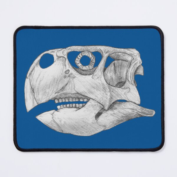 Item preview, Psittacosaurus Skull designed and sold by DoodleSnake58.