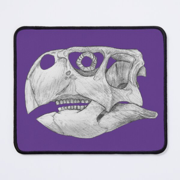 Item preview, Psittacosaurus Skull designed and sold by DoodleSnake58.