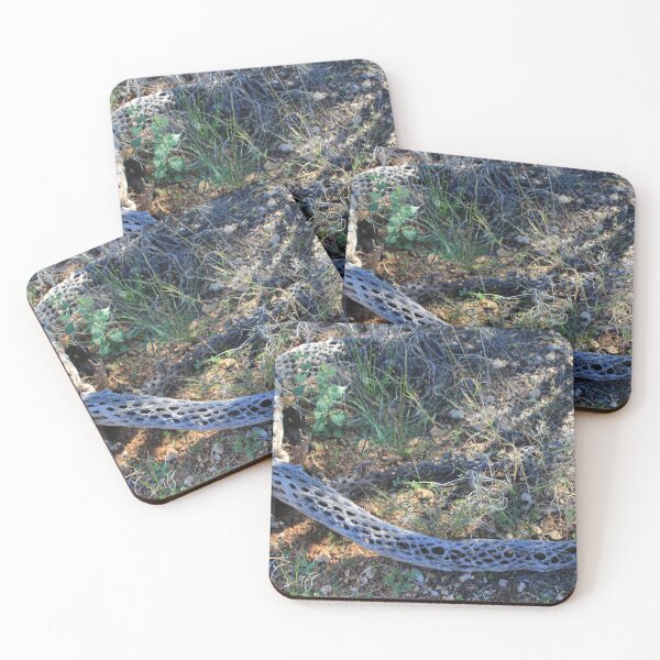 Item preview, Spiderwood designed and sold by MatthewThomasDaniels.
