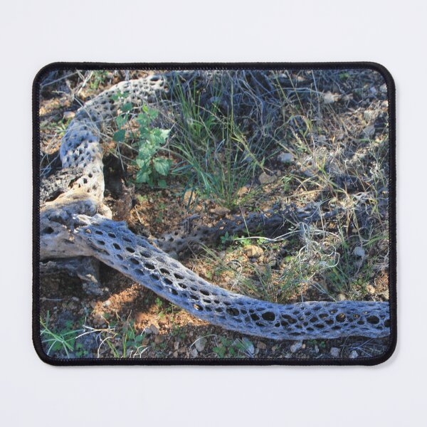 Item preview, Spiderwood designed and sold by MatthewThomasDaniels.