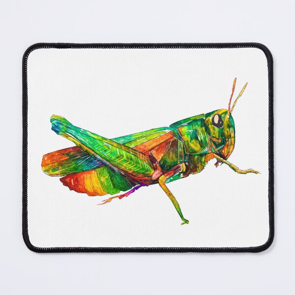 Item preview, Colourful rainbow grasshopper artwork designed and sold by Moana Matron Designs.