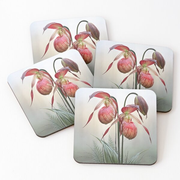 Item preview, The Veined Slipper Orchid designed and sold by bloorose.