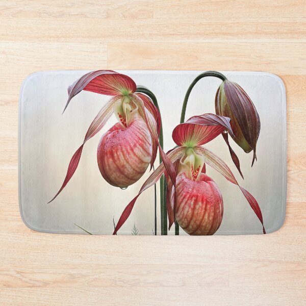 Item preview, The Veined Slipper Orchid designed and sold by bloorose.