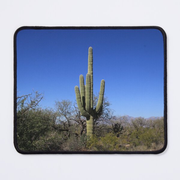 Item preview, Cactus Pose designed and sold by MatthewThomasDaniels.