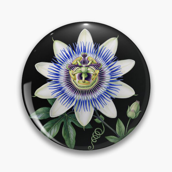 Item preview, Vintage Botanical Passion Flower Illustration designed and sold by LinaValearte.