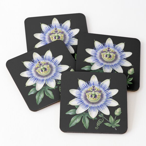 Item preview, Vintage Botanical Passion Flower Illustration designed and sold by LinaValearte.