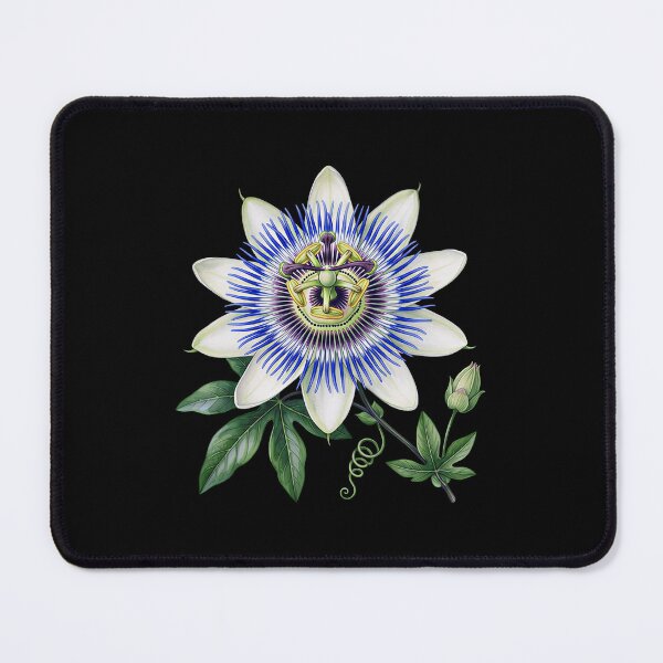 Item preview, Vintage Botanical Passion Flower Illustration designed and sold by LinaValearte.