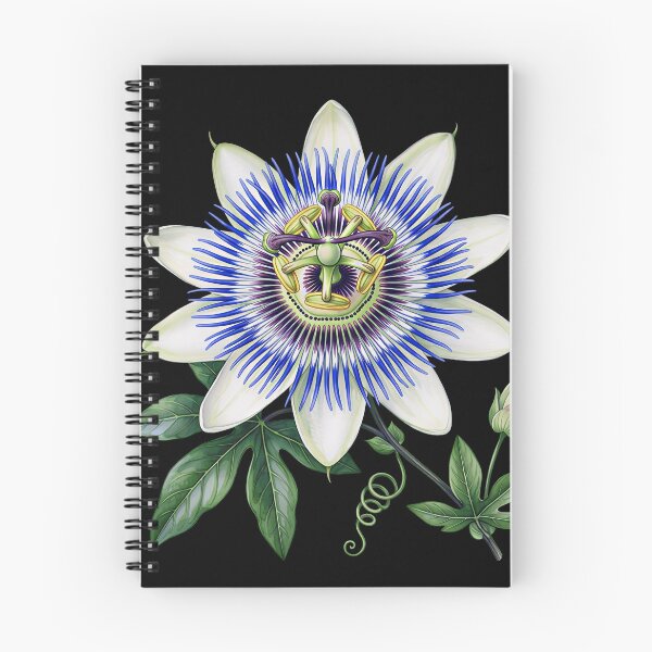 Item preview, Vintage Botanical Passion Flower Illustration designed and sold by LinaValearte.