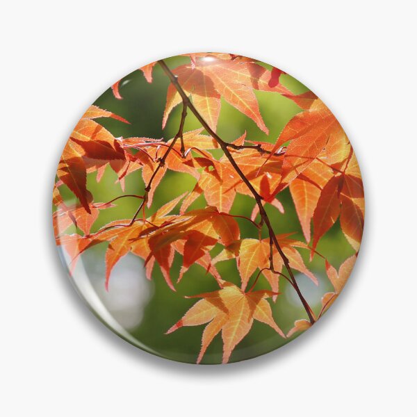Artikelvorschau, Goldener Herbst-Naturdruck entworfen und verkauft von Mutezone.