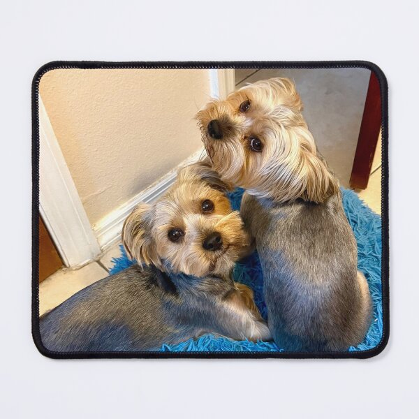 Item preview, Yorkies designed and sold by ROSENDE ART HOUSE.