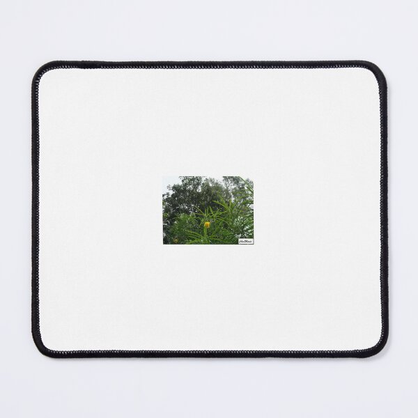 Item preview, ChevMovit Australian Yellow Flower Bush designed and sold by ChevMovit.