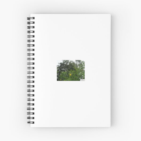 Item preview, ChevMovit Australian Yellow Flower Bush designed and sold by ChevMovit.