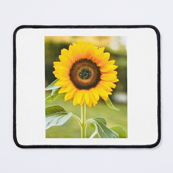 Item preview, My Favorite Sunflower designed and sold by ROSENDE ART HOUSE.