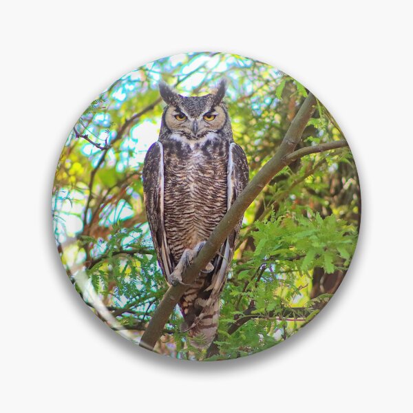 Item preview, Stunning Great Horned Owl designed and sold by simonjayphotos.