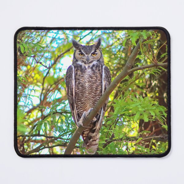 Item preview, Stunning Great Horned Owl designed and sold by simonjayphotos.