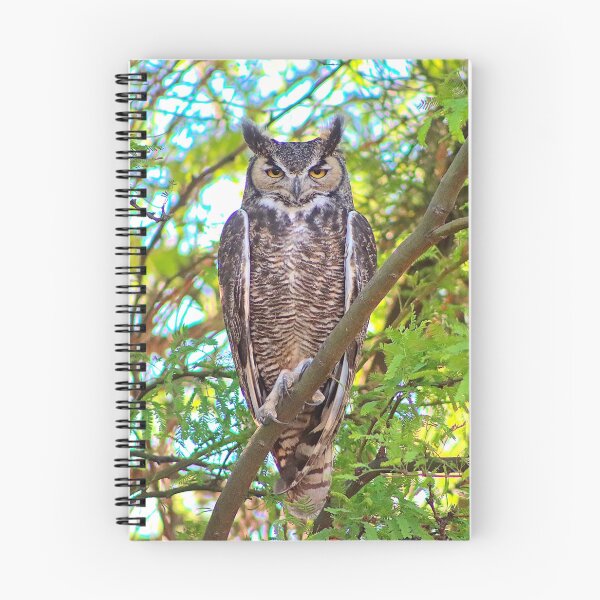 Item preview, Stunning Great Horned Owl designed and sold by simonjayphotos.