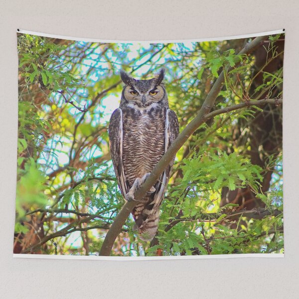 Item preview, Stunning Great Horned Owl designed and sold by simonjayphotos.
