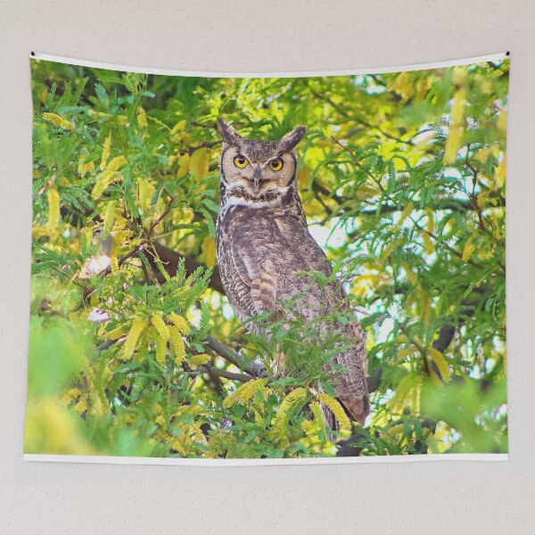 Item preview, Amazing Great Horned Owl designed and sold by simonjayphotos.