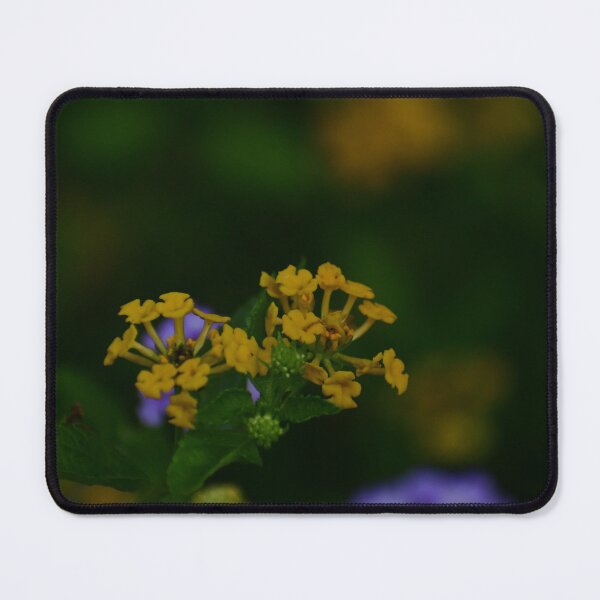 Item preview, Yellow lantana flowers designed and sold by FoxGlove5.