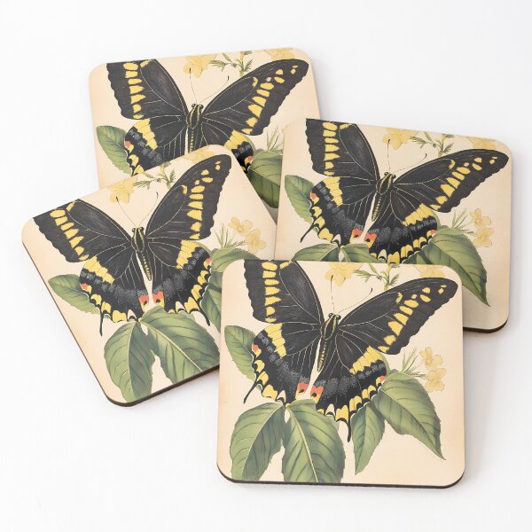 Item preview, Borboleta-do-Manacá — Ilustração Científica Vintage | Atlantic Forest designed and sold by AtlanticForest.