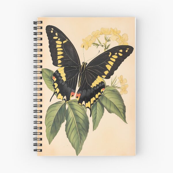 Item preview, Borboleta-do-Manacá — Ilustração Científica Vintage | Atlantic Forest designed and sold by AtlanticForest.