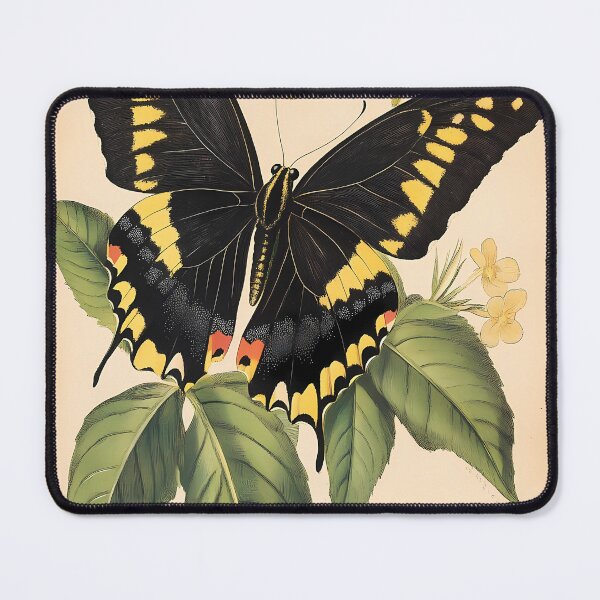 Item preview, Borboleta-do-Manacá — Ilustração Científica Vintage | Atlantic Forest designed and sold by AtlanticForest.