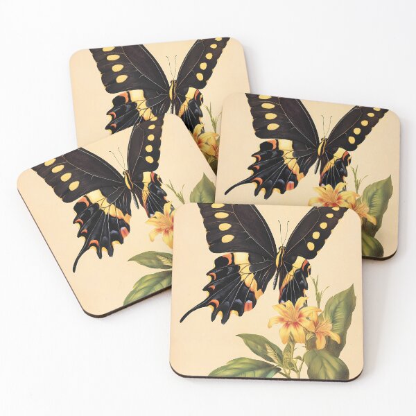 Item preview, Borboleta-Cauda-de-Andorinha — Gravura Botânica Vintage | Atlantic Forest designed and sold by AtlanticForest.