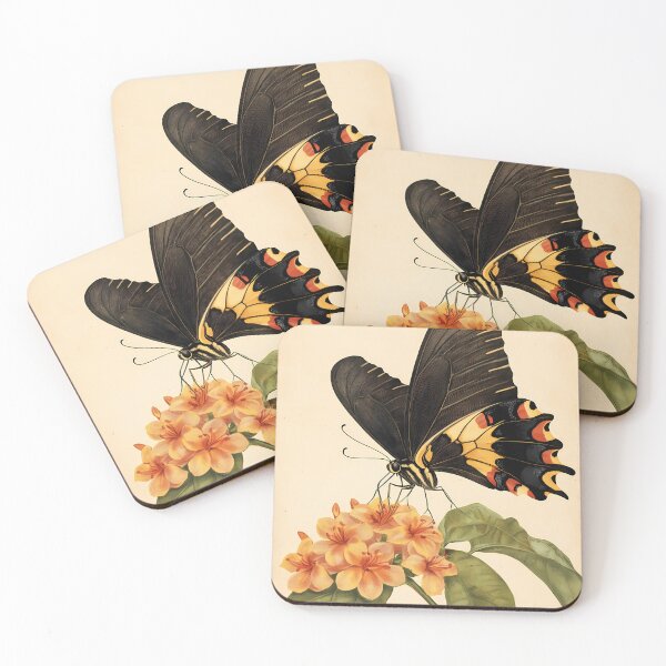 Item preview, Borboleta-Cauda-de-Andorinha — Ilustração Científica Vintage | Atlantic Forest designed and sold by AtlanticForest.